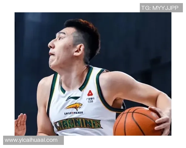 热身赛辽宁队对阵北控队精彩直播全程回顾与分析